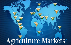 Agricultural Markets