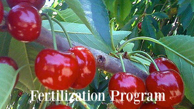 MicroSoil®TailorMade™ Fertilization Program