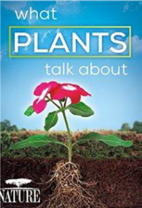 What-Plants-Talk-About.