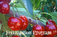 MicroSoil® TailorMade™ Fertilization Program